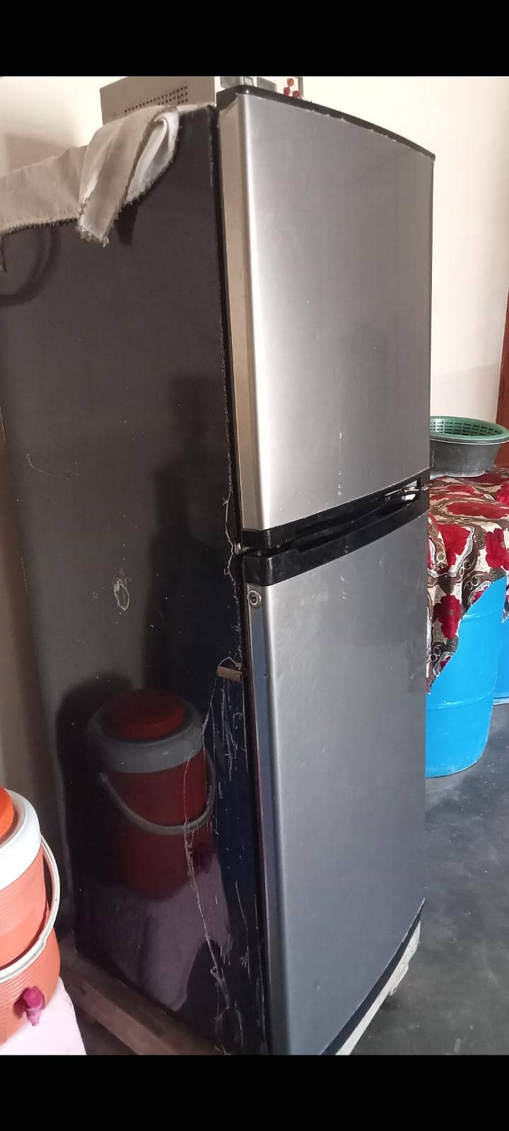 frige 2