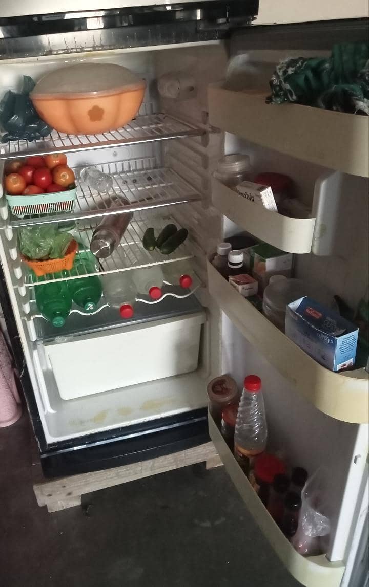 frige 4