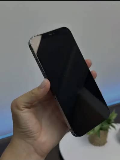 Apple iPhone 12 Pro Max
