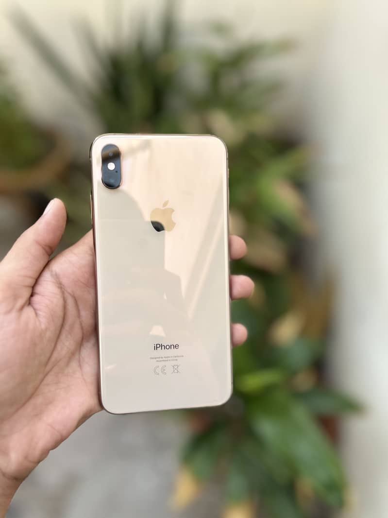 Apple iPhone Xs max 1