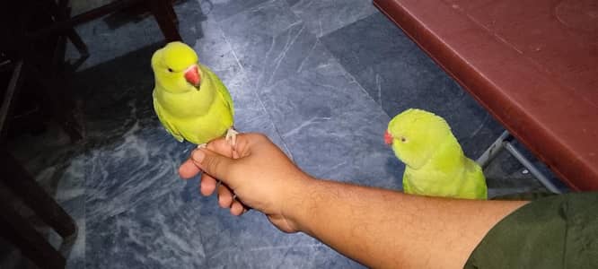 hand tame and activity porrt taking b karty hai