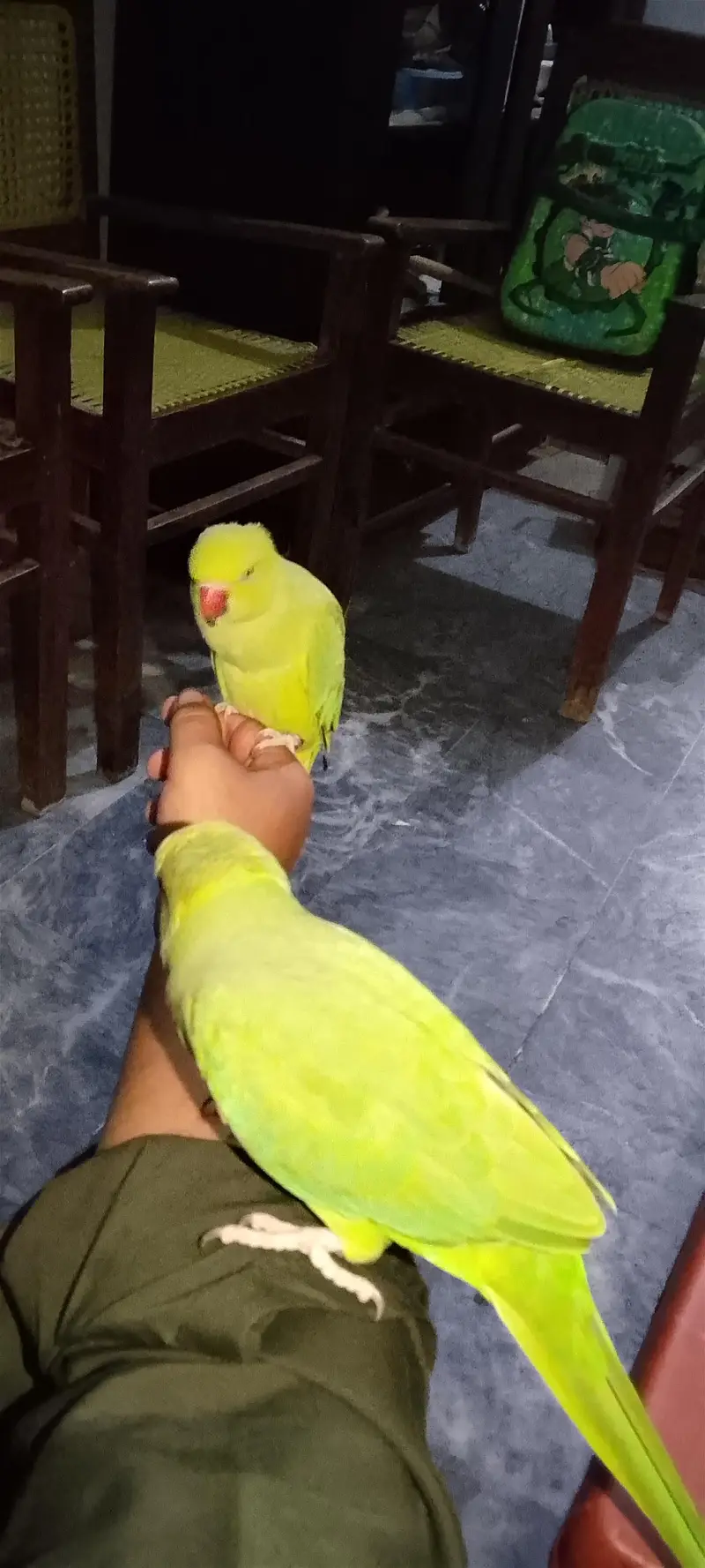 hand tame and activity porrt taking b karty hai — photo 2