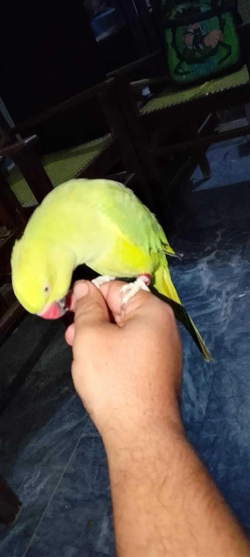 hand tame and activity porrt taking b karty hai — photo 3
