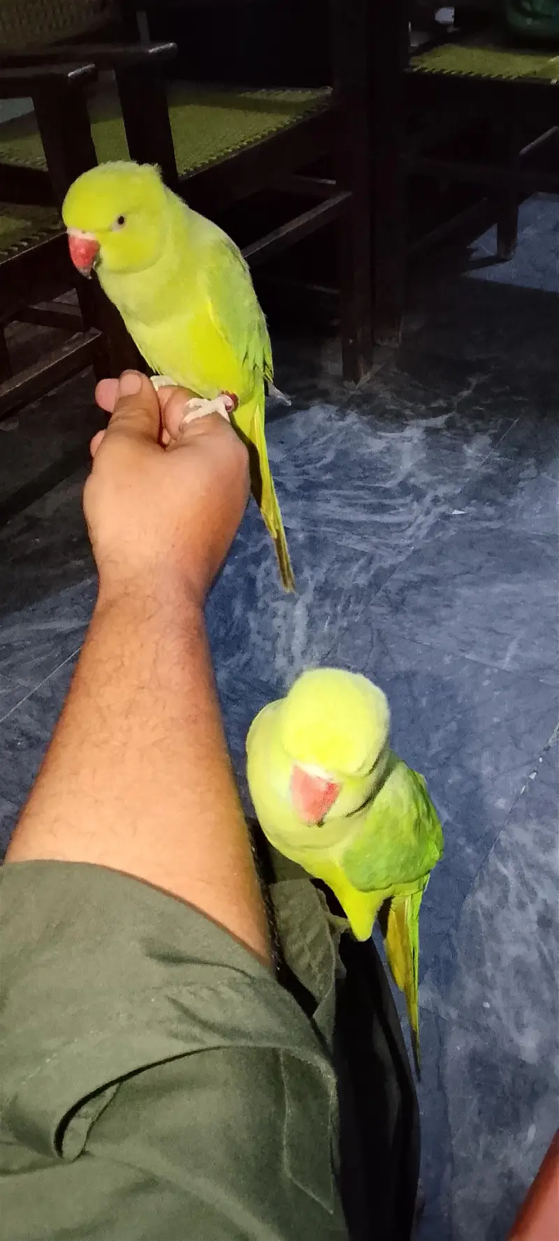 hand tame and activity porrt taking b karty hai — photo 6