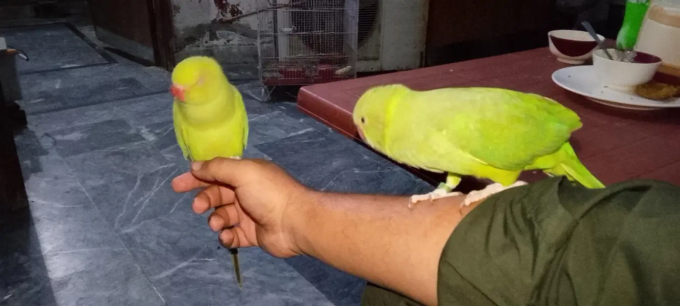 hand tame and activity porrt taking b karty hai — photo 7