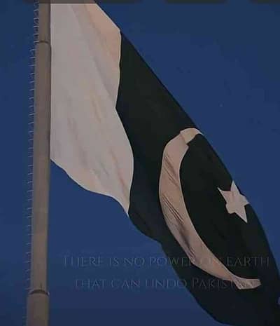 Hamza qureshi