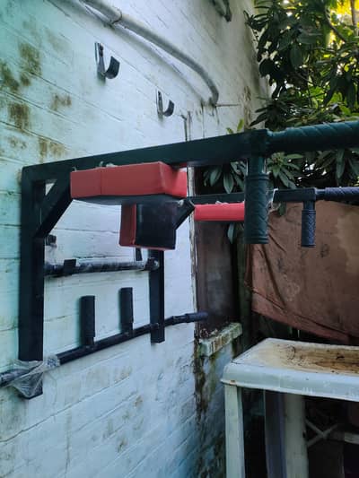 wall mounted exercise bar