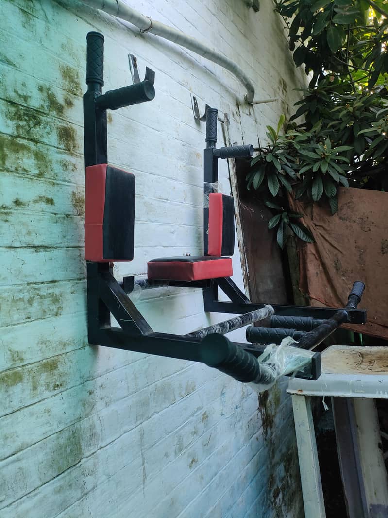 wall mounted exercise bar 1