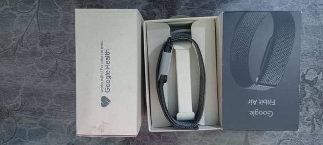 Google Fitbit Air