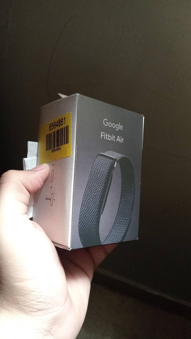 Google Fitbit Air 2