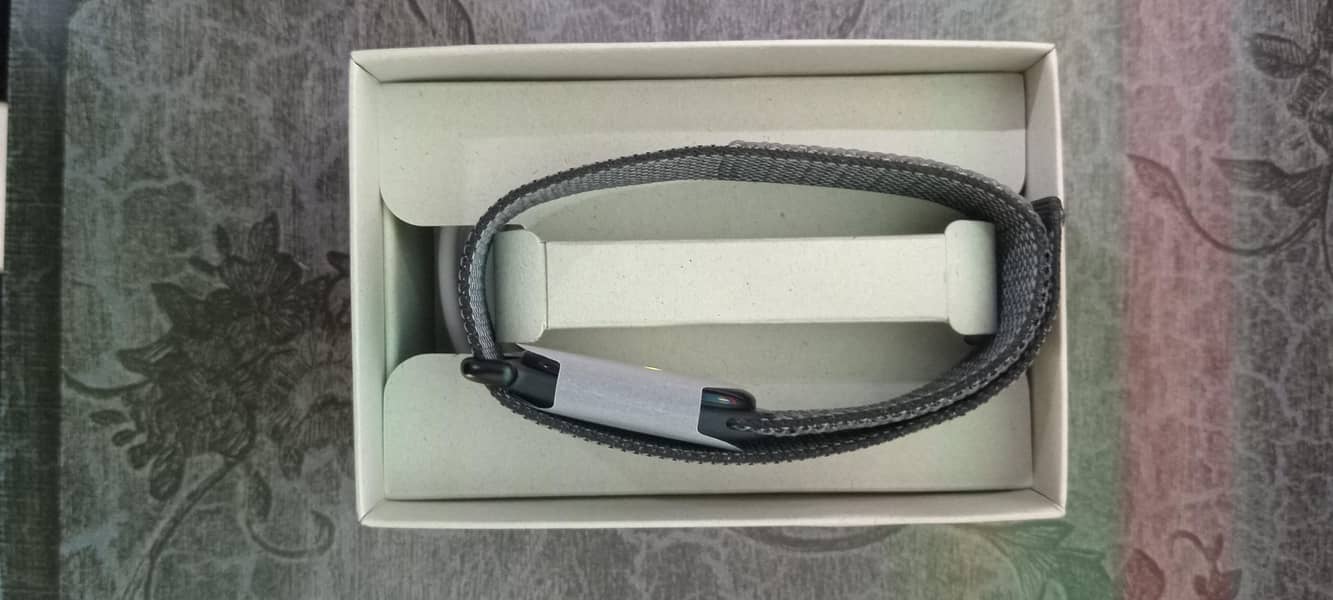 Google Fitbit Air 3