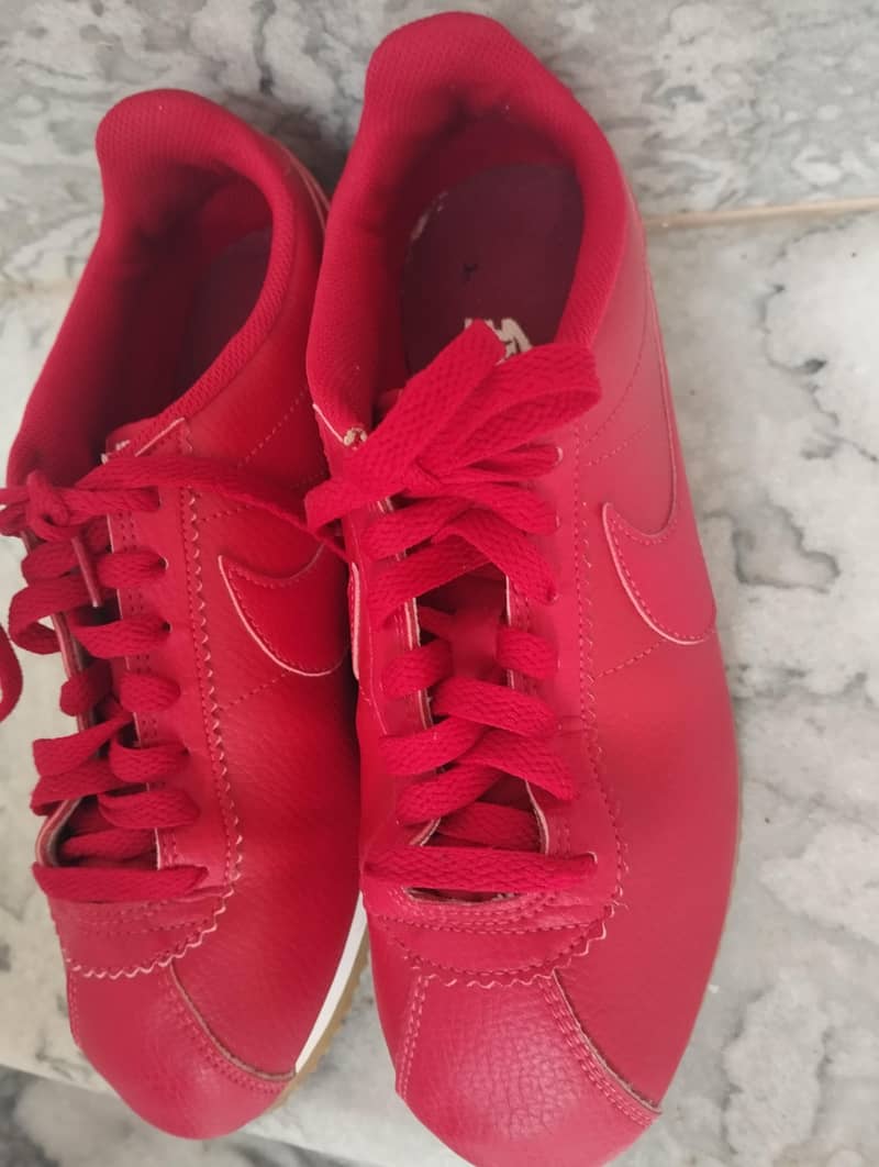 NIke shoe 1