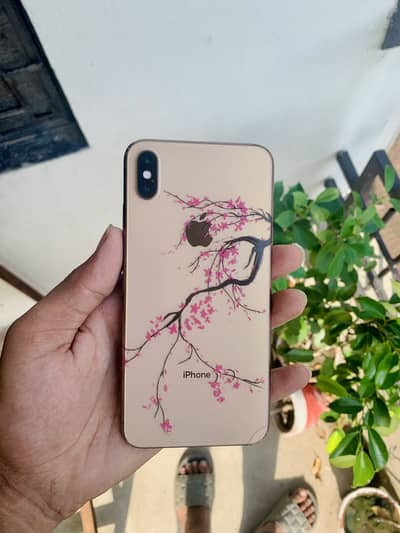 Apple iPhone XS Max PTA