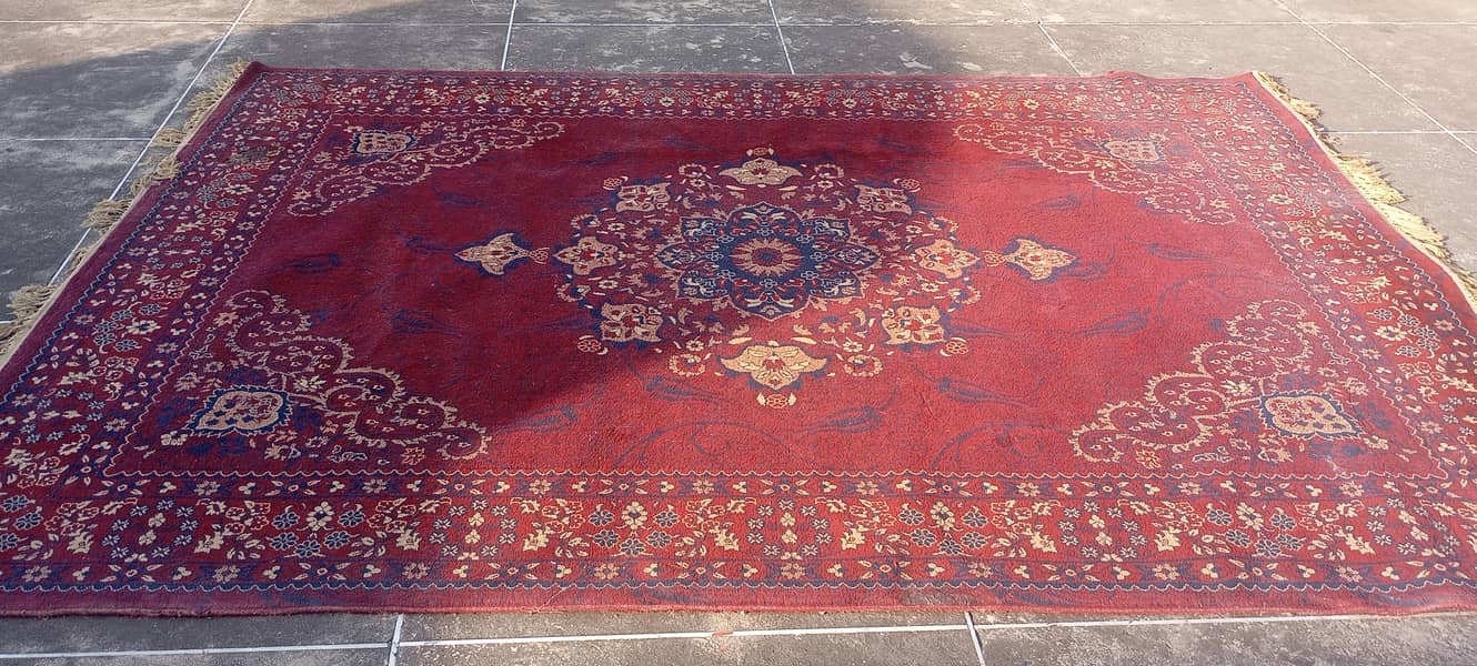 Venus Carpet 1
