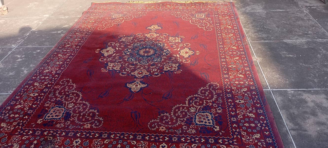 Venus Carpet 2
