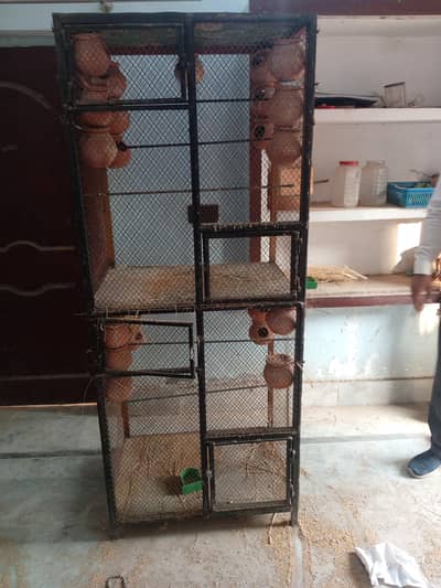 birds colony cage