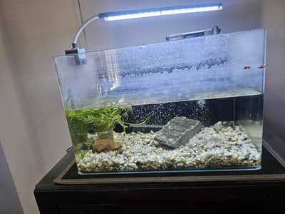 aquarim for sale