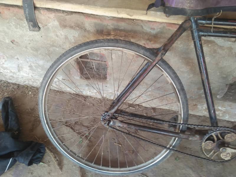 baba cycle 1