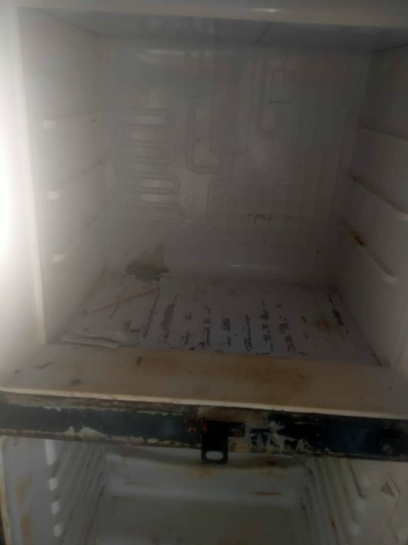 refrig 2