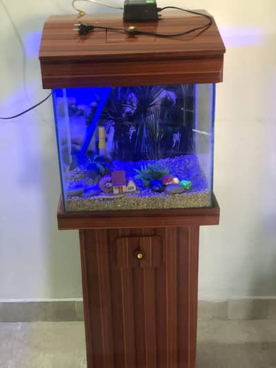 Aquarium for sale