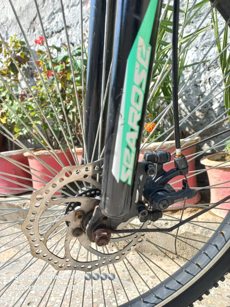 IMPORTED BICYCLE 1