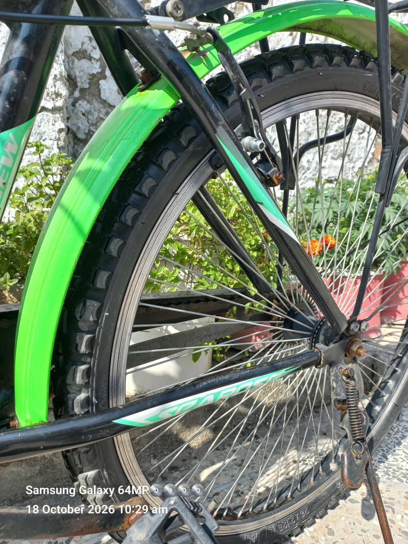 IMPORTED BICYCLE 2