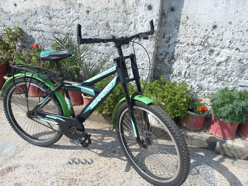 IMPORTED BICYCLE 3