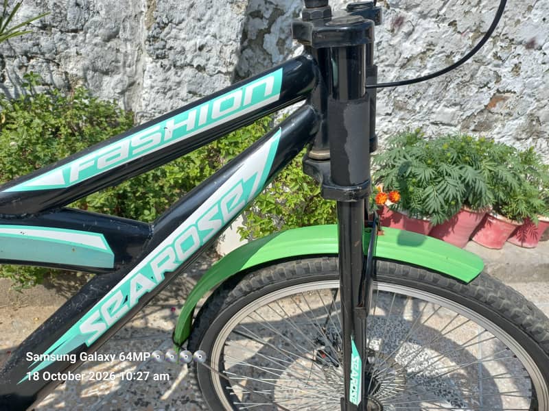 IMPORTED BICYCLE 4