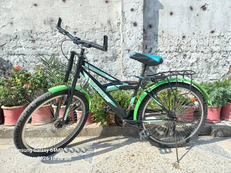 IMPORTED BICYCLE 6