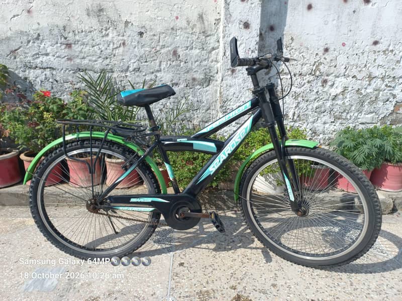 IMPORTED BICYCLE 8