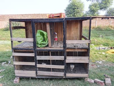 Large Wooden Bird Cage for Sale – 6ft x 7ft