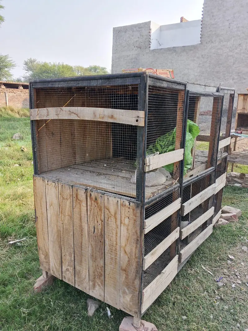 Large Wooden Bird Cage for Sale – 6ft x 7ft — photo 3