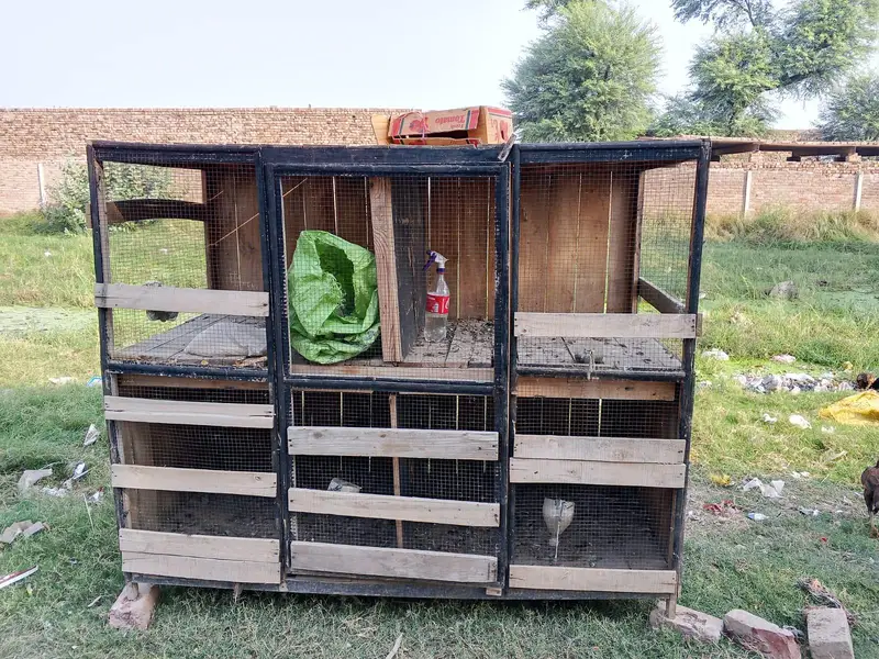 Large Wooden Bird Cage for Sale – 6ft x 7ft — photo 5
