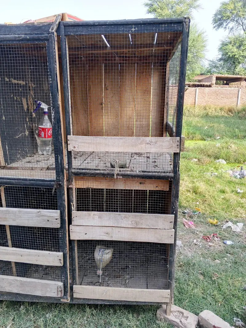Large Wooden Bird Cage for Sale – 6ft x 7ft — photo 6