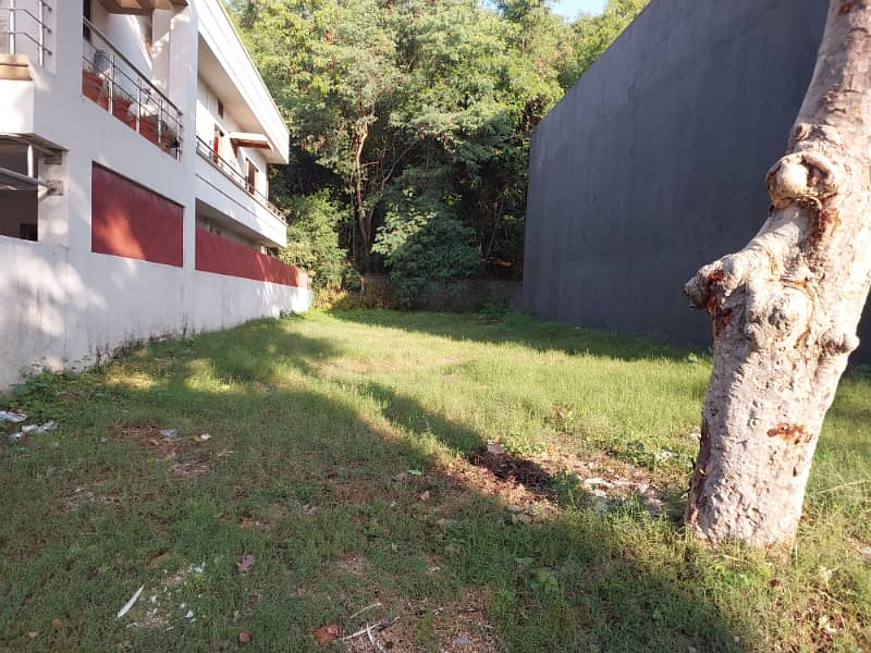 10 Marla. Solid Land Back Open Plot for Sale 1