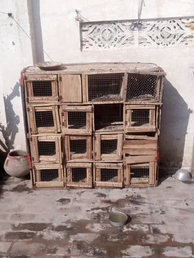 for sale location Peshawar