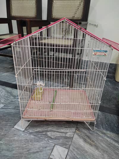 Cockatiel breeding cage for sale