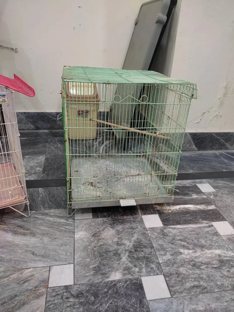 Cockatiel breeding cage for sale — photo 3