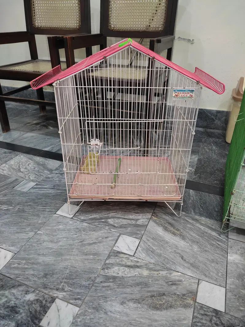 Cockatiel breeding cage for sale — photo 4