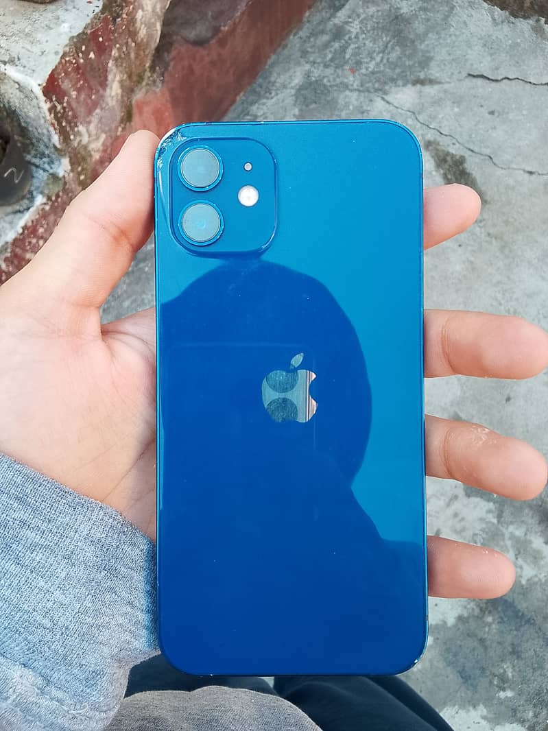 Apple iPhone 12 1