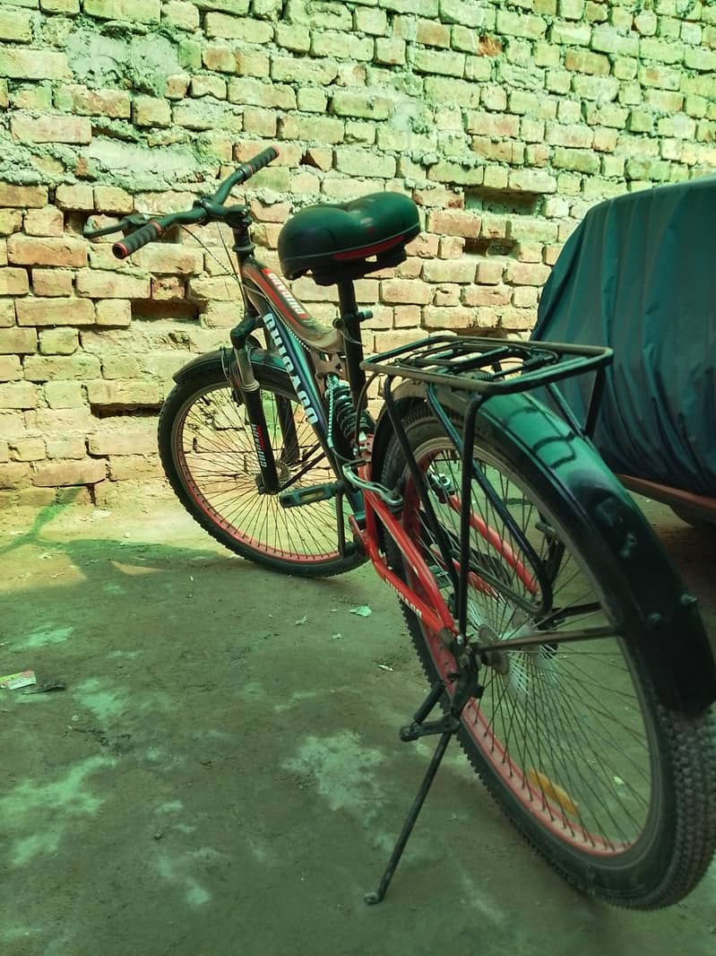Bi-Cycle 1