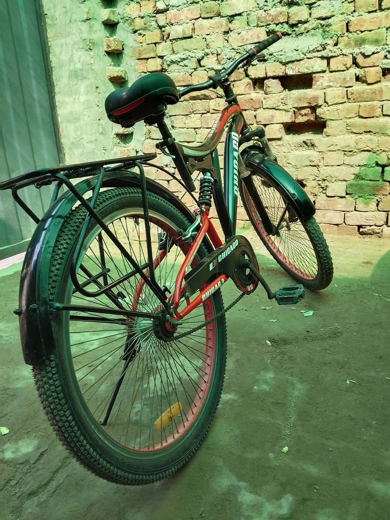 Bi-Cycle 2