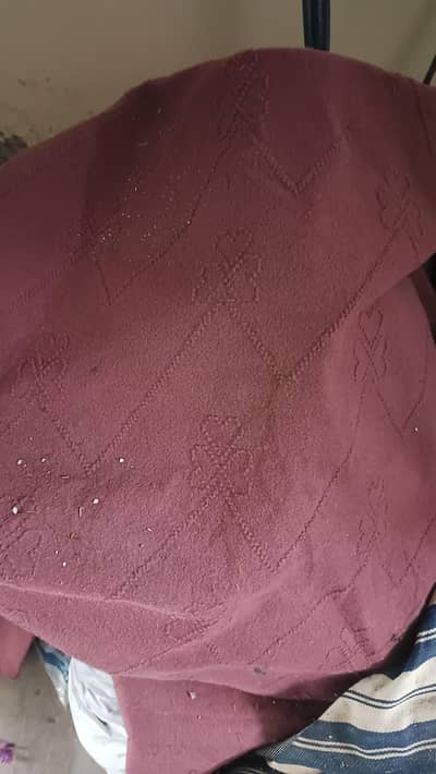 carpet for 1 room