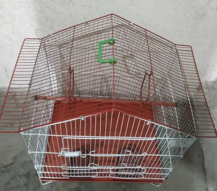 New Cage — photo 2