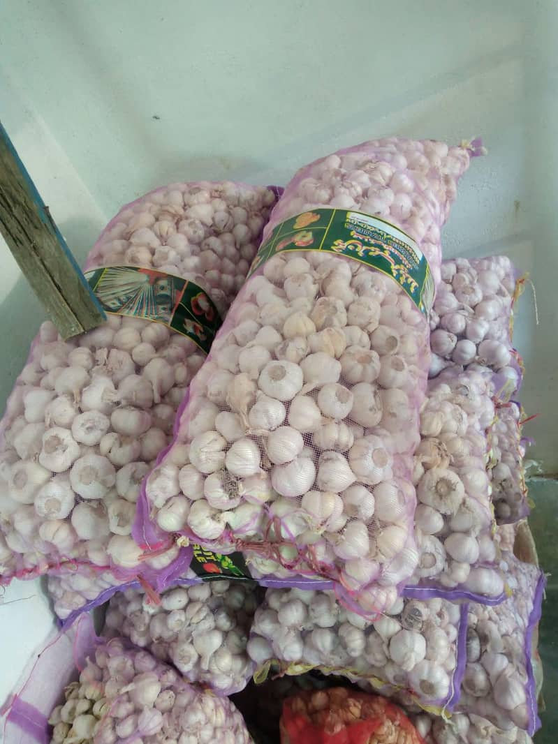 white Garlic 2