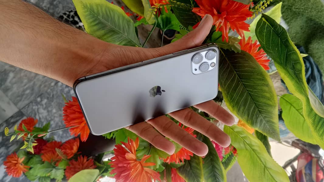 Apple iPhone 11 Pro Max 2