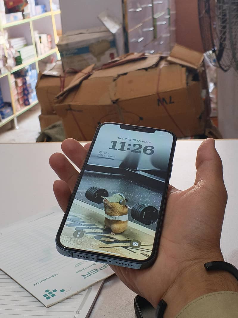 Apple iPhone 12 Pro Max 2