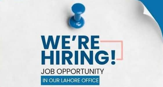 Need Male / Female Accountant