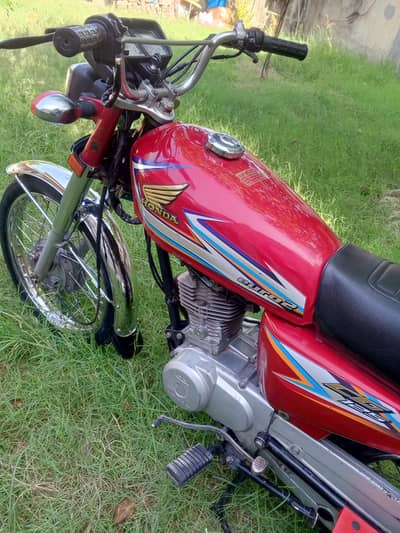 whatsapp 03175721233