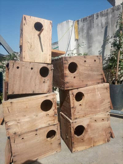 kekar breeding box